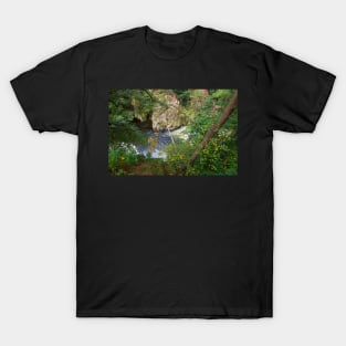 Bodetal, Bode, river, brook,, Thale, Harz, Germany, autumn T-Shirt